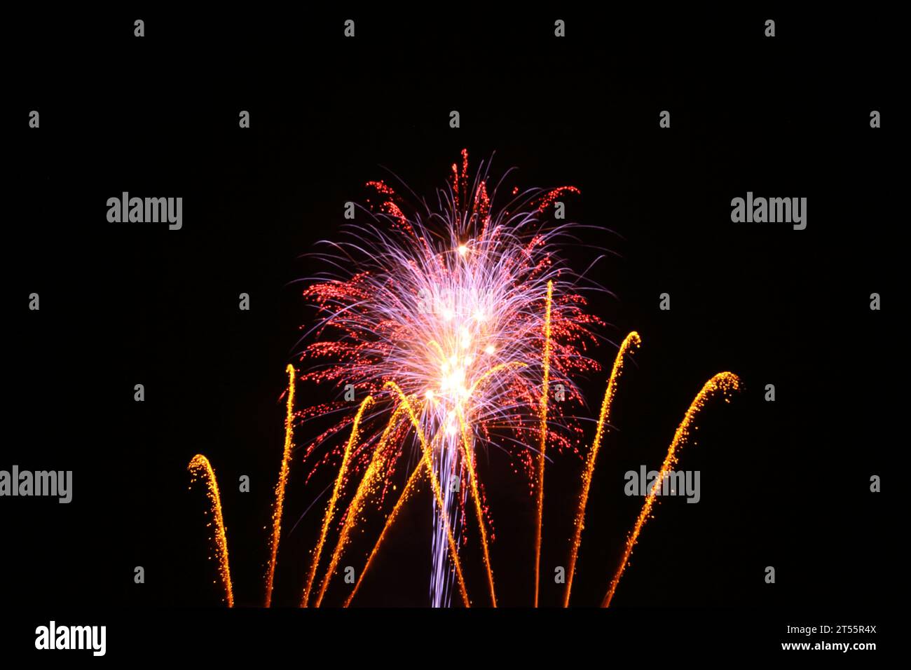 Gold, purple, red fireworks in black night sky with black copy space Stock Photo