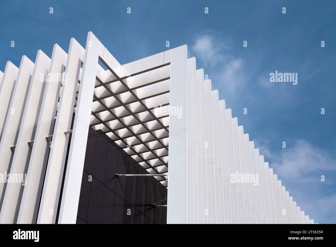 Architectural detail from the modernist, brutalist and eclectic Tel ...