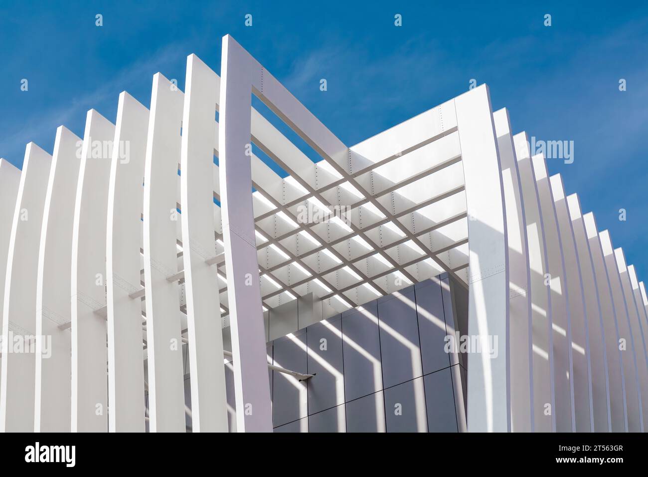 Architectural detail from the modernist, brutalist and eclectic Tel ...