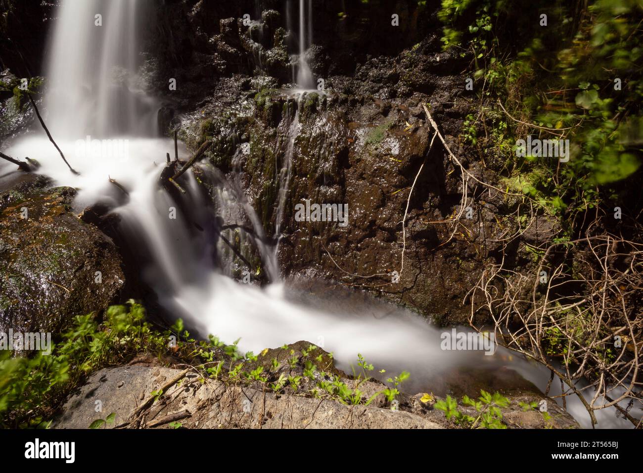 Riverside Marvels: Long Exposure Lens Captures the Mesmerizing ...