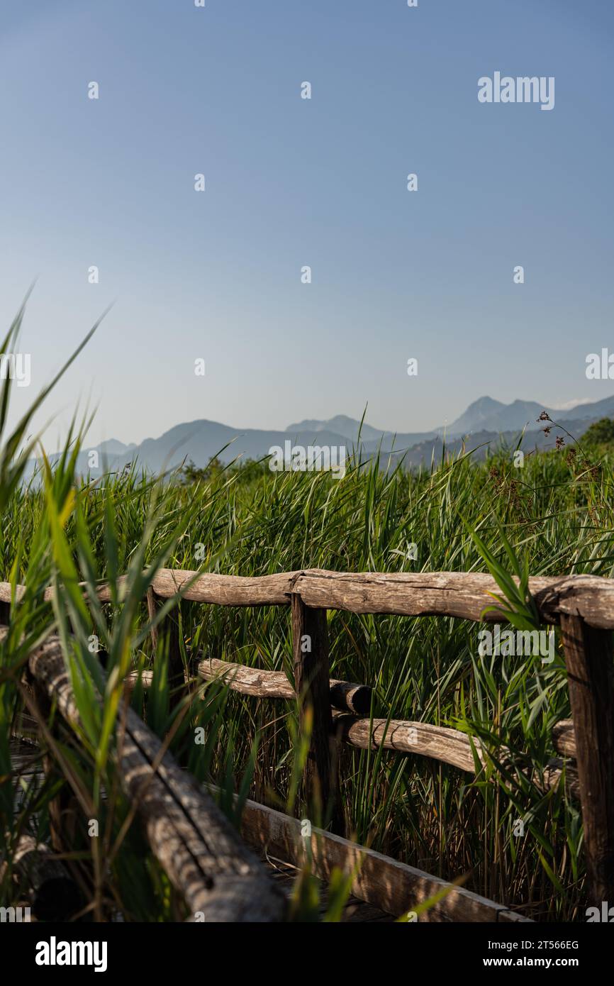 Massaciuccoli lake lago di hi-res stock photography and images - Alamy
