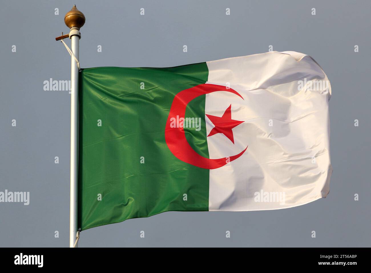 The national flag of the Algerian People's Democratic Republic (Algeria) as a participating country at the 12th St. Petersburg International Gas Forum (SPIGF 2023). (Photo by Maksim Konstantinov / SOPA Images/Sipa USA) Stock Photo