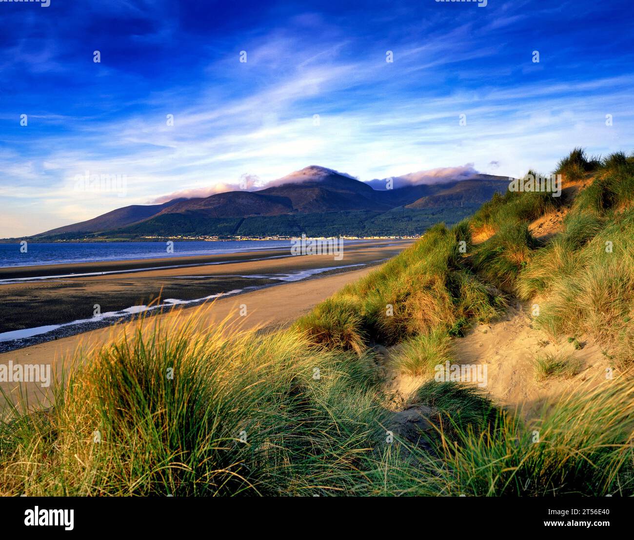 newcastle-beach-co-down-hi-res-stock-photography-and-images-alamy