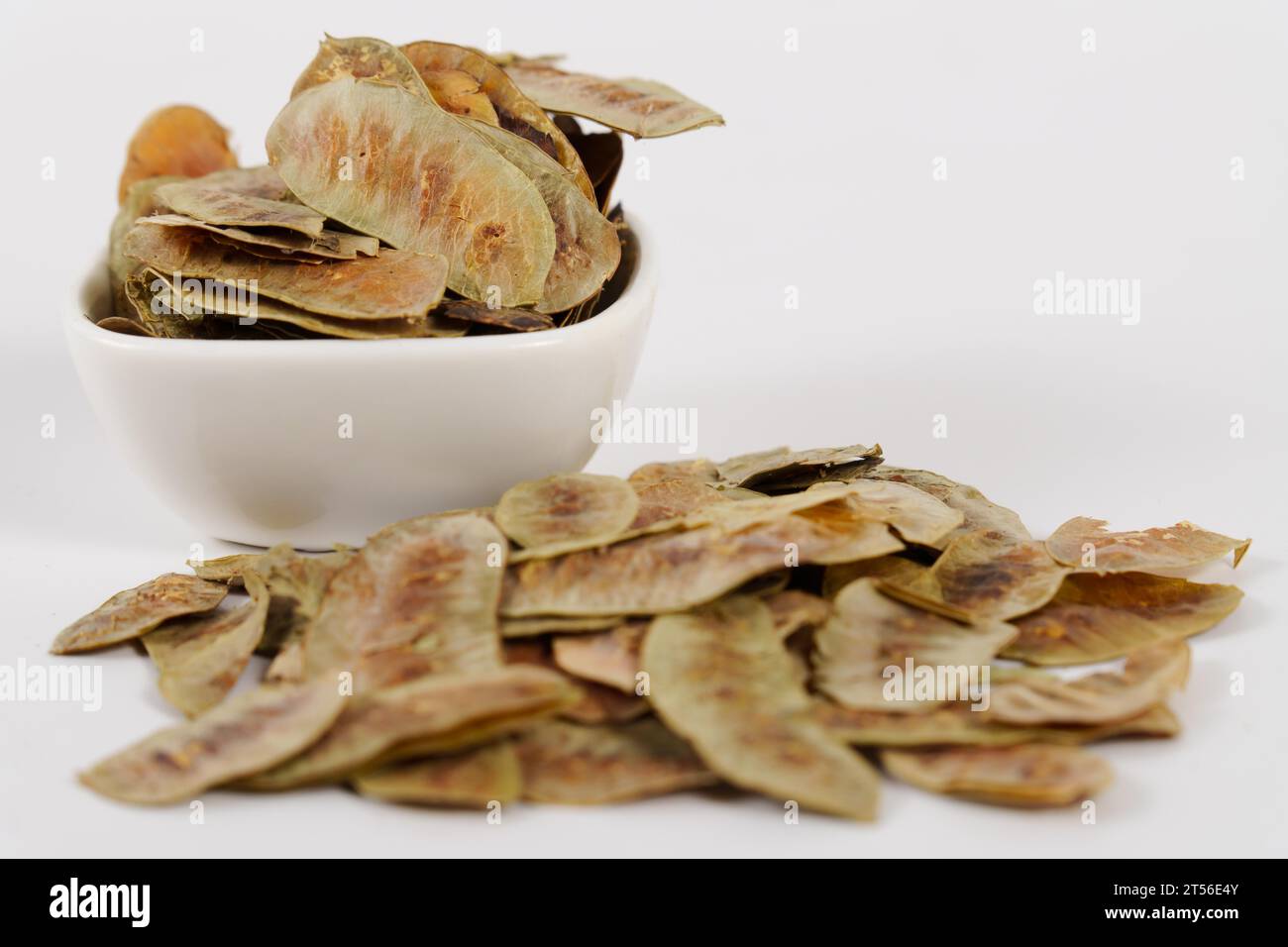 Senna alexandrina pods. Cassia senna, with depurative and detoxifying properties in a white ceramic bowl isolated on a white background Stock Photo