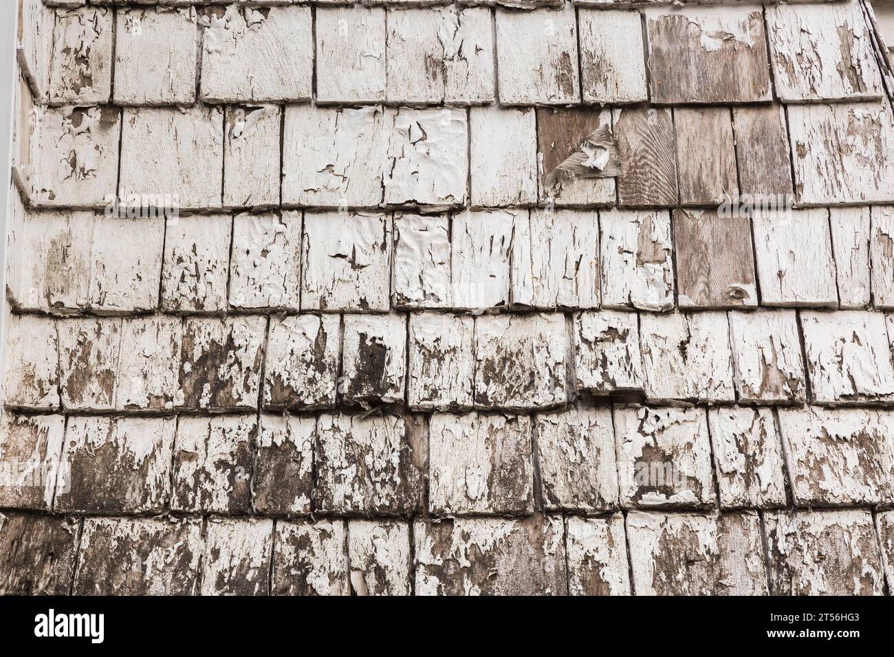 Distressed white painted cedar wood shingles on roof, Quebec, Canada