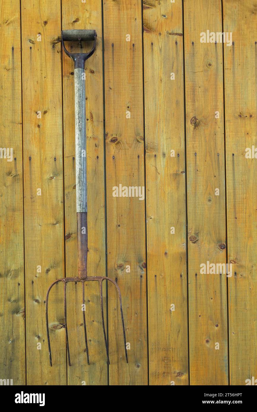 Antique pitchfork displayed on wood plank wall, Quebec, Canada Stock Photo