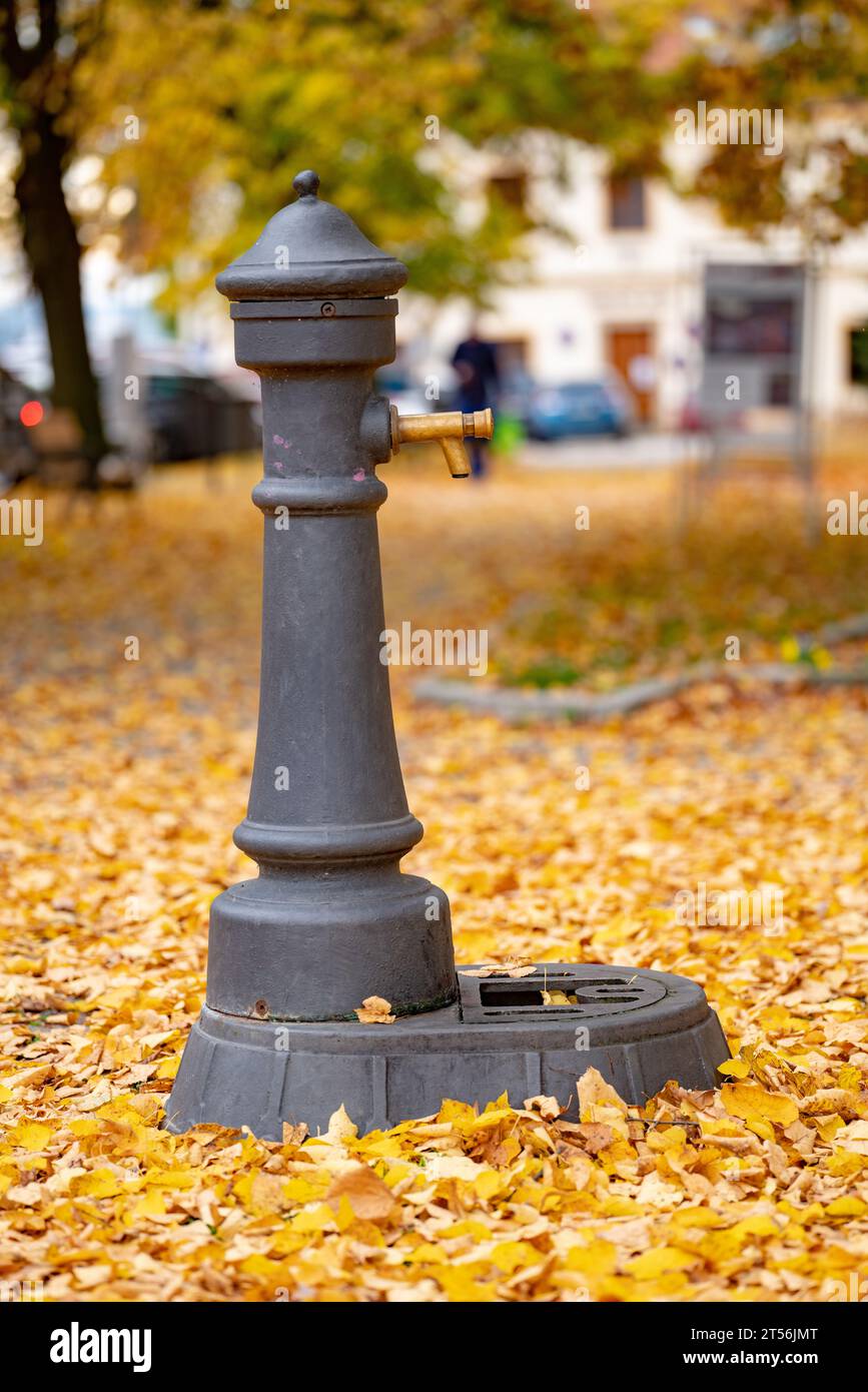 Old water cast iron fountain for drawing water to buckets or dog bowls. Closed, with a small tap near the top. Park and town square in the background. Stock Photo