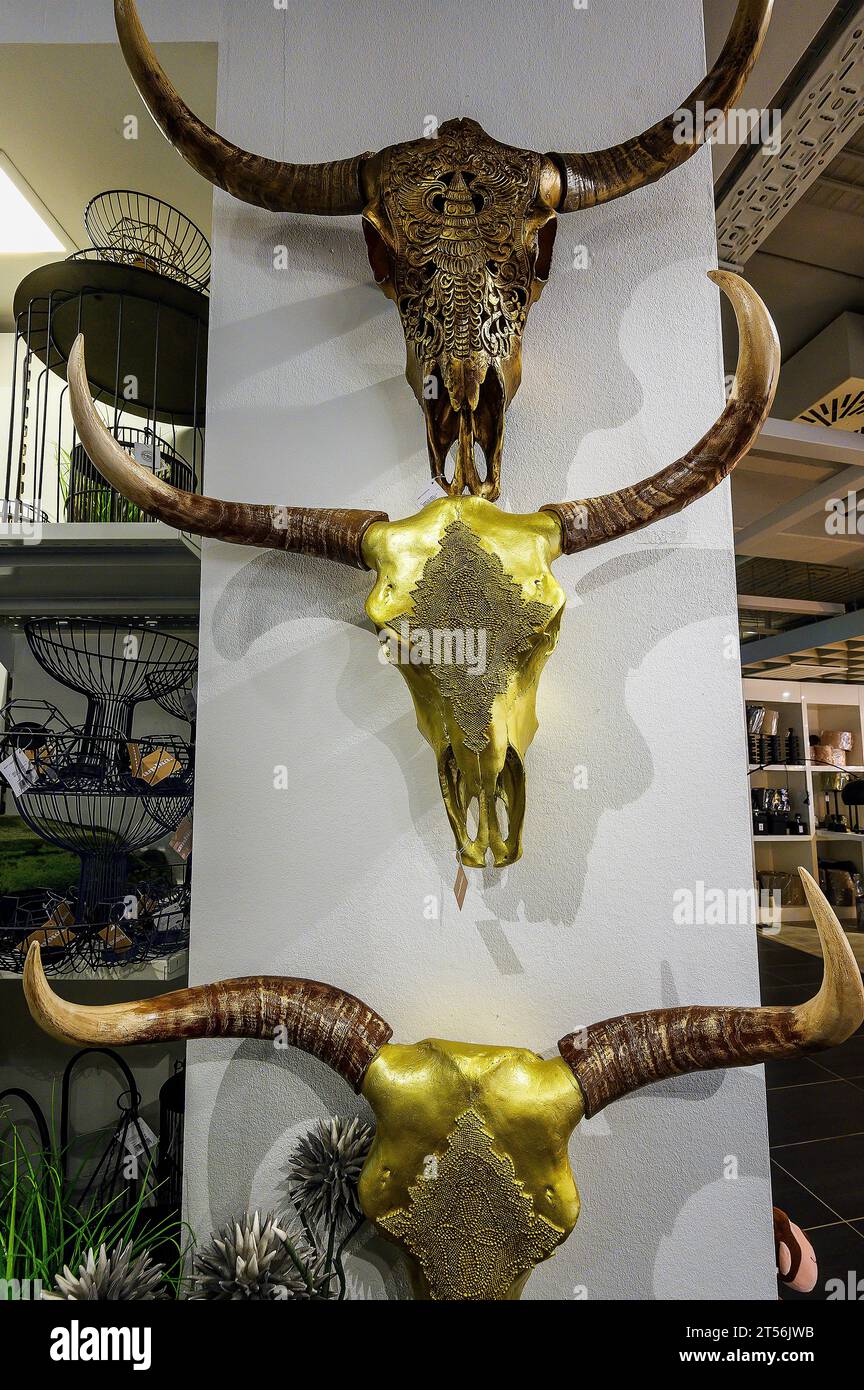 Decorated buffalo heads, jade trophies as wall decoration, kitsch articles in a furniture store, Bavaria, Germany Stock Photo