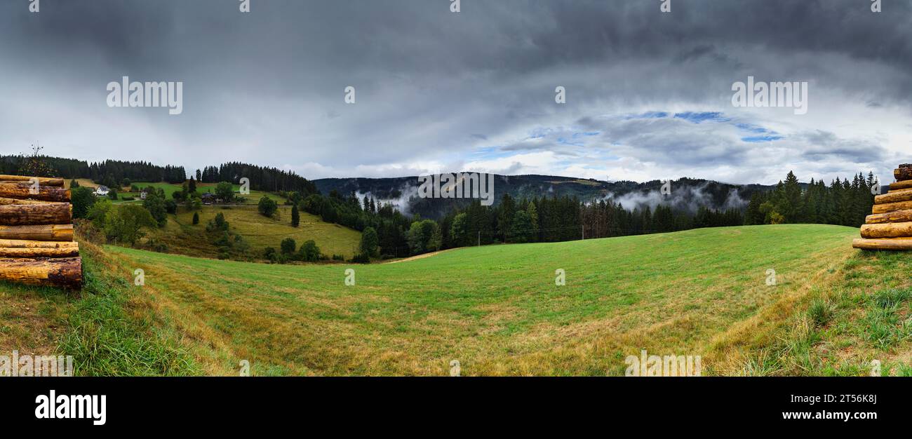 Rainy atmosphere in a Black Forest landscape near Schonach in the Black
