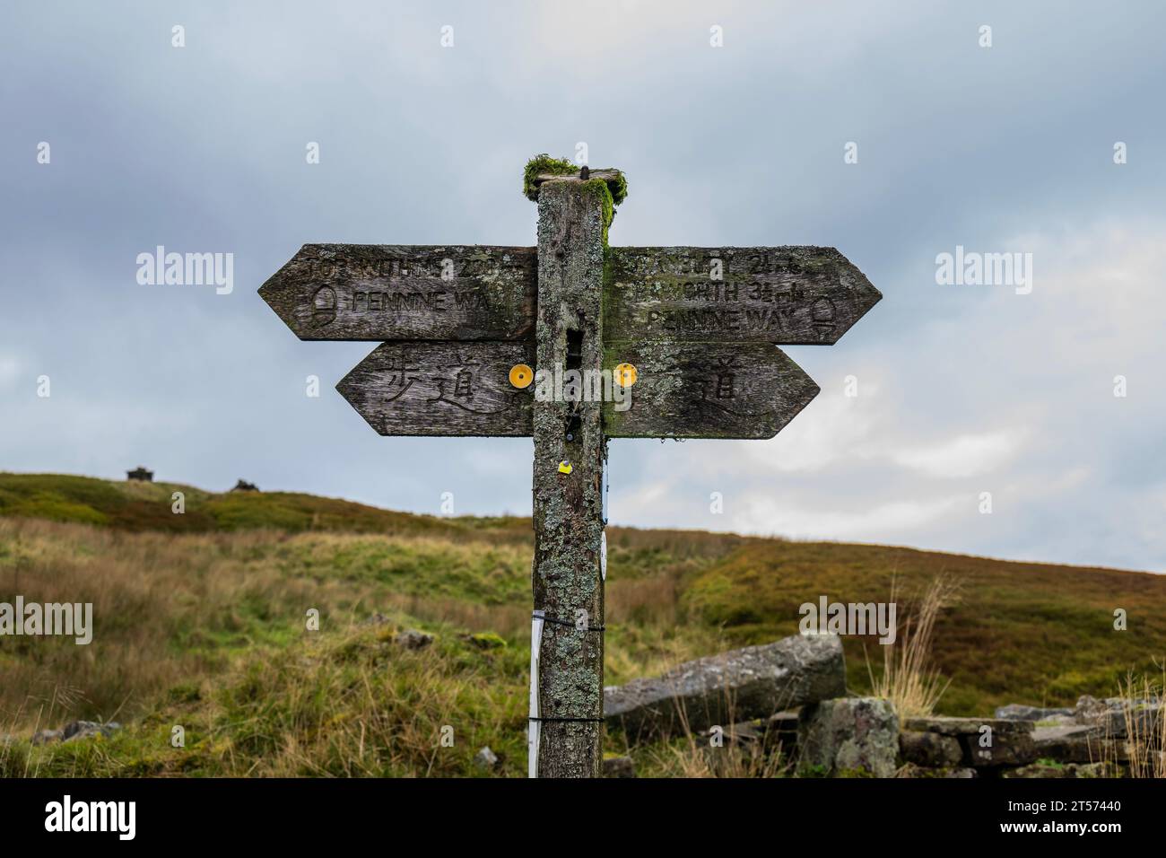 Signposts include Japanes Characters because of teh number of asian ...