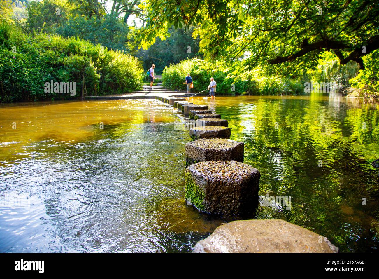 Box Hill Stepping Stones over the River Mole, North Downs, Surrey, England Stock Photo