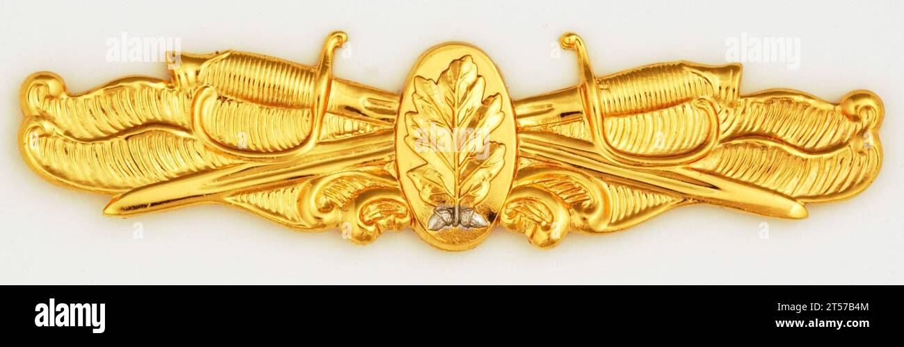 US Navy Surface Warfare Dental Corps insignia.jpg Stock Photo Alamy