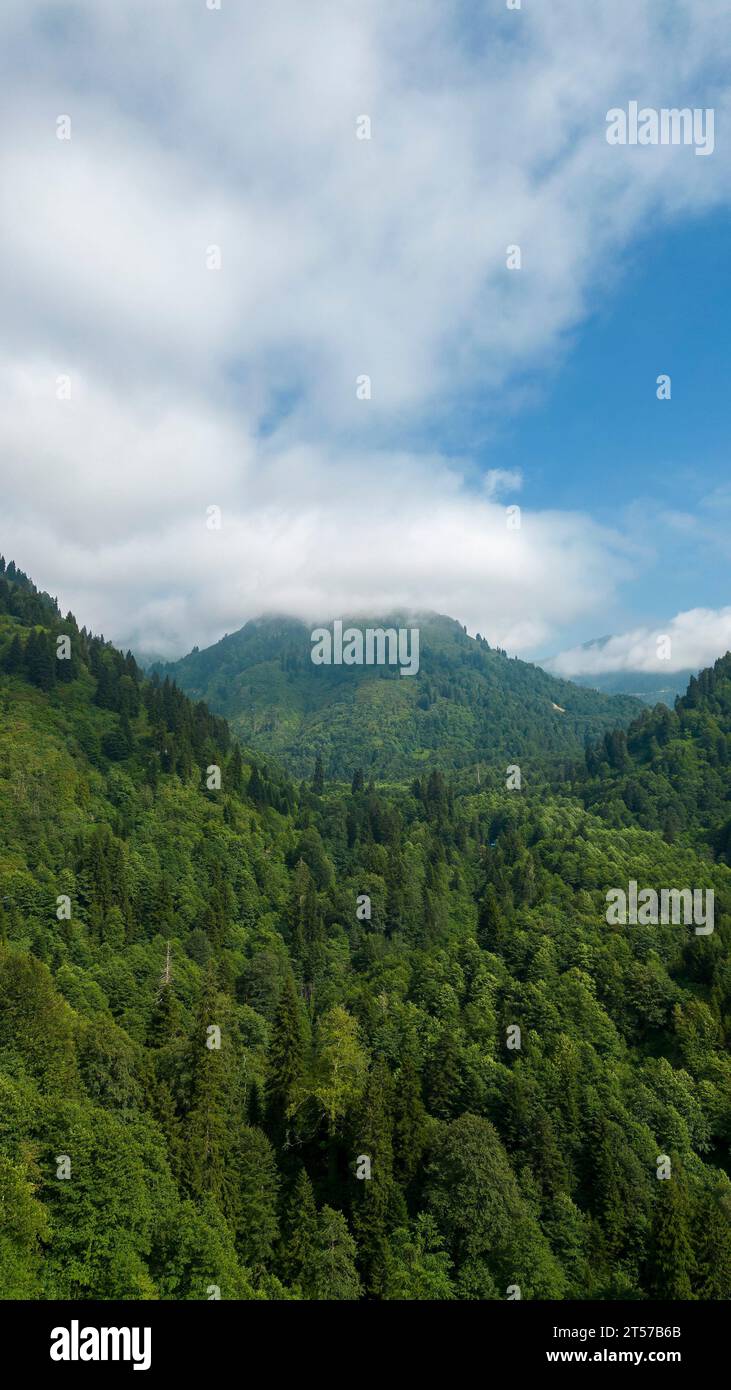 Mountain covered with forests. Aerial view forest Stock Photo - Alamy