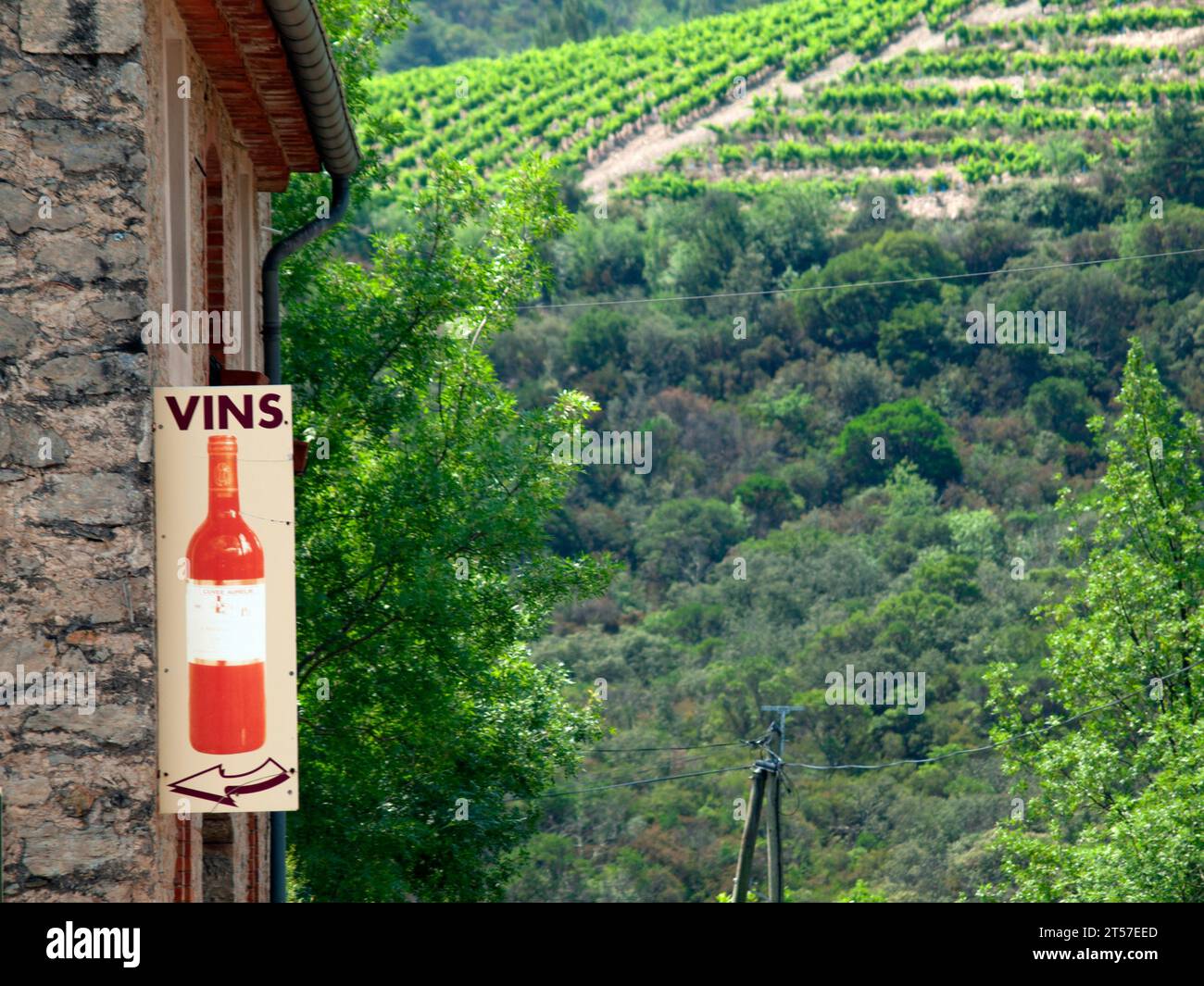 Wine making country near to Roquebrun in the Languedoc, France Stock Photo