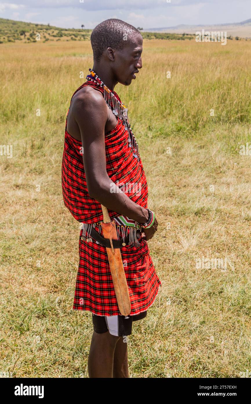 MASAI MARA, KENYA - FEBRUARY 19, 2020: Masai tribe member in Masai Mara National Reserve, Kenya Stock Photo