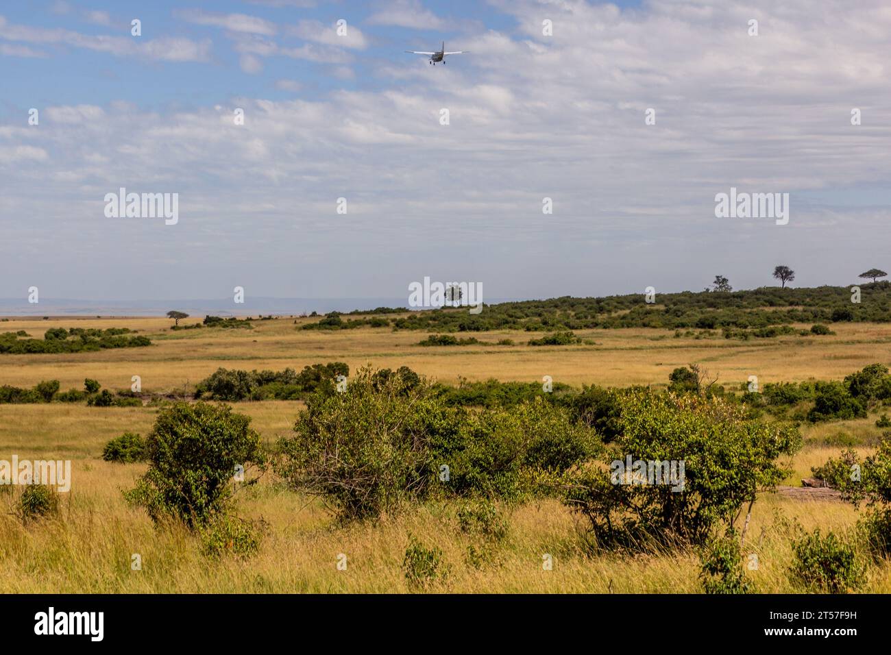 Bush plane africa hi-res stock photography and images - Alamy