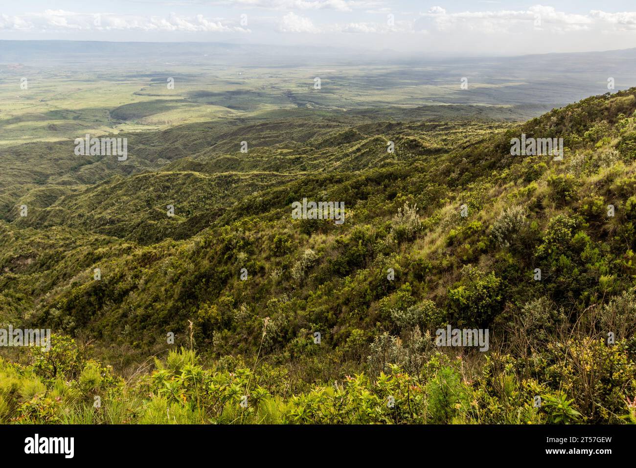 View of the Longonot National Park, Kenya Stock Photo
