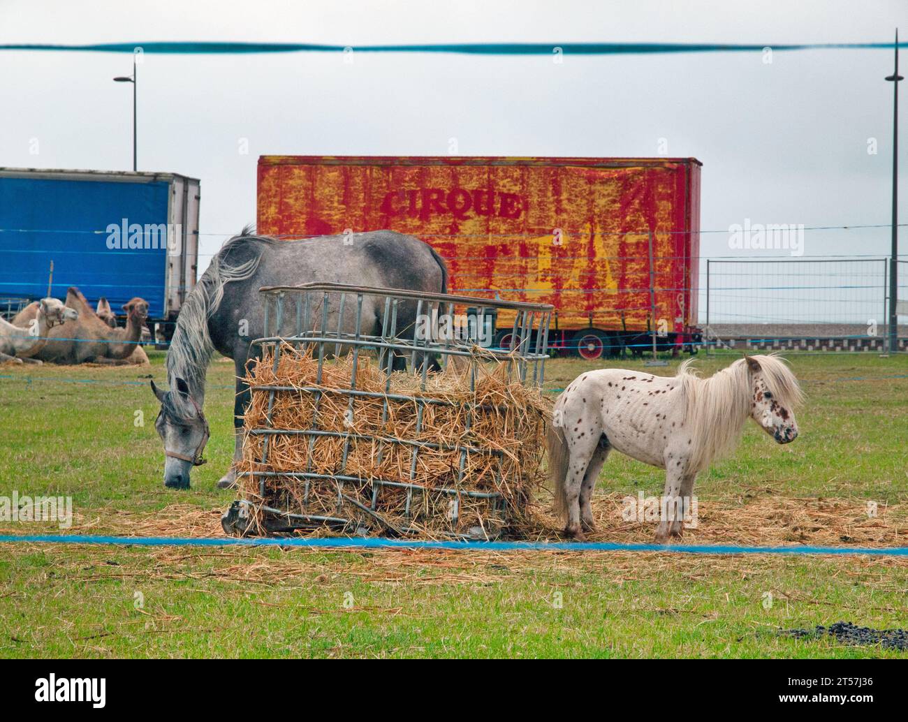 A circus in Dieppe, France Stock Photo