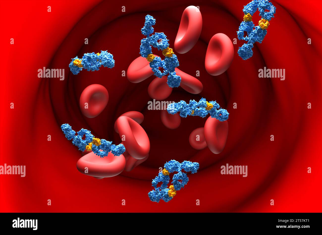 Monoclonal antibodies (Adalimumab) - section view 3d illustration Stock Photo