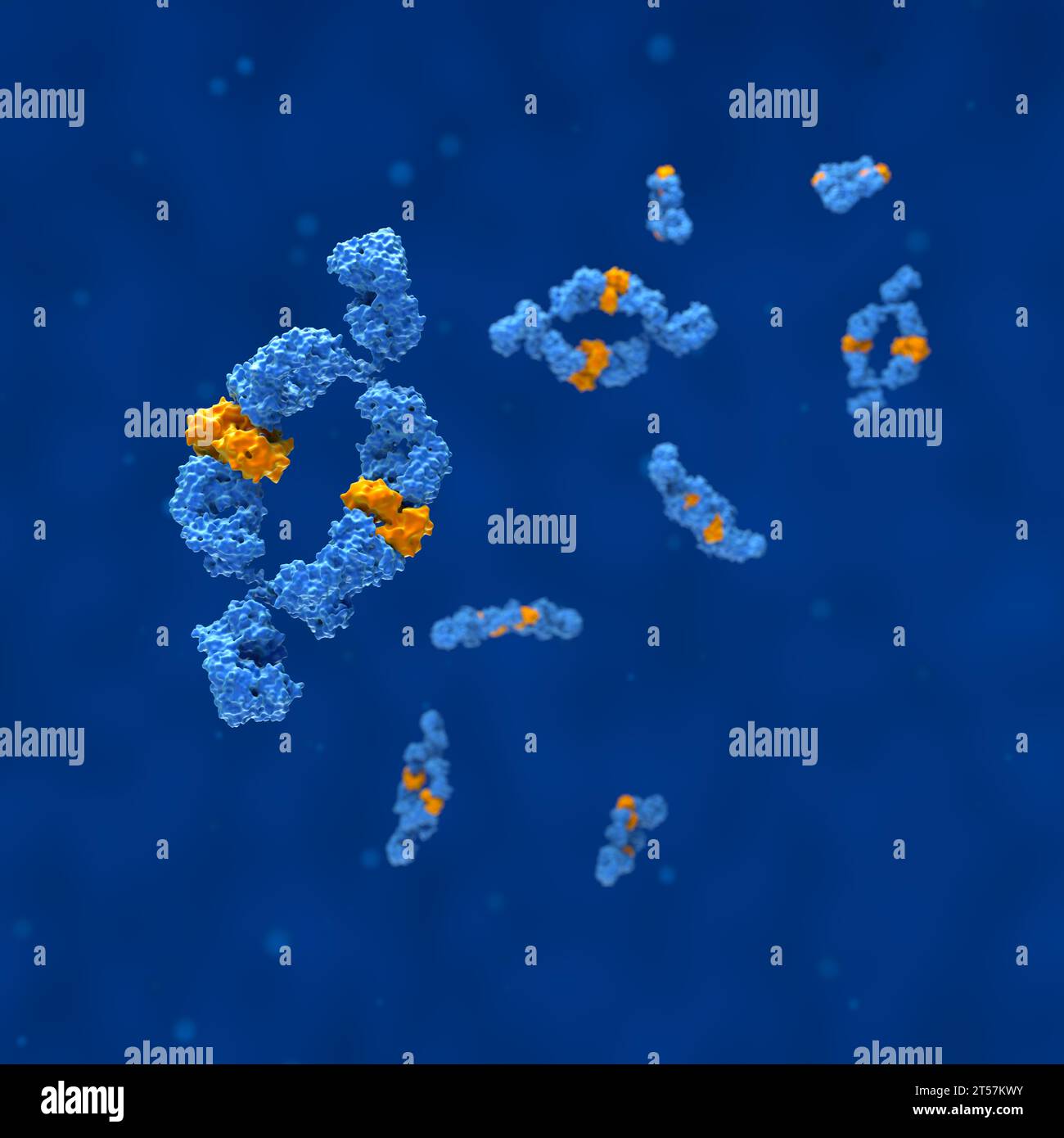 Monoclonal antibodies (Adalimumab) - closeup view 3d illustration Stock Photo