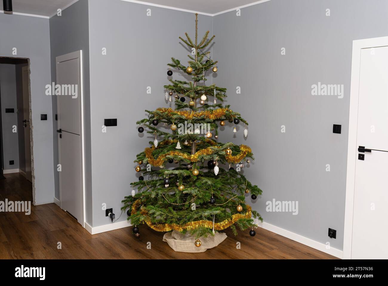 A Christmas tree made of Caucasian fir decorated with baubles stands in the hall of a modern house, in the corner of the living room. Stock Photo