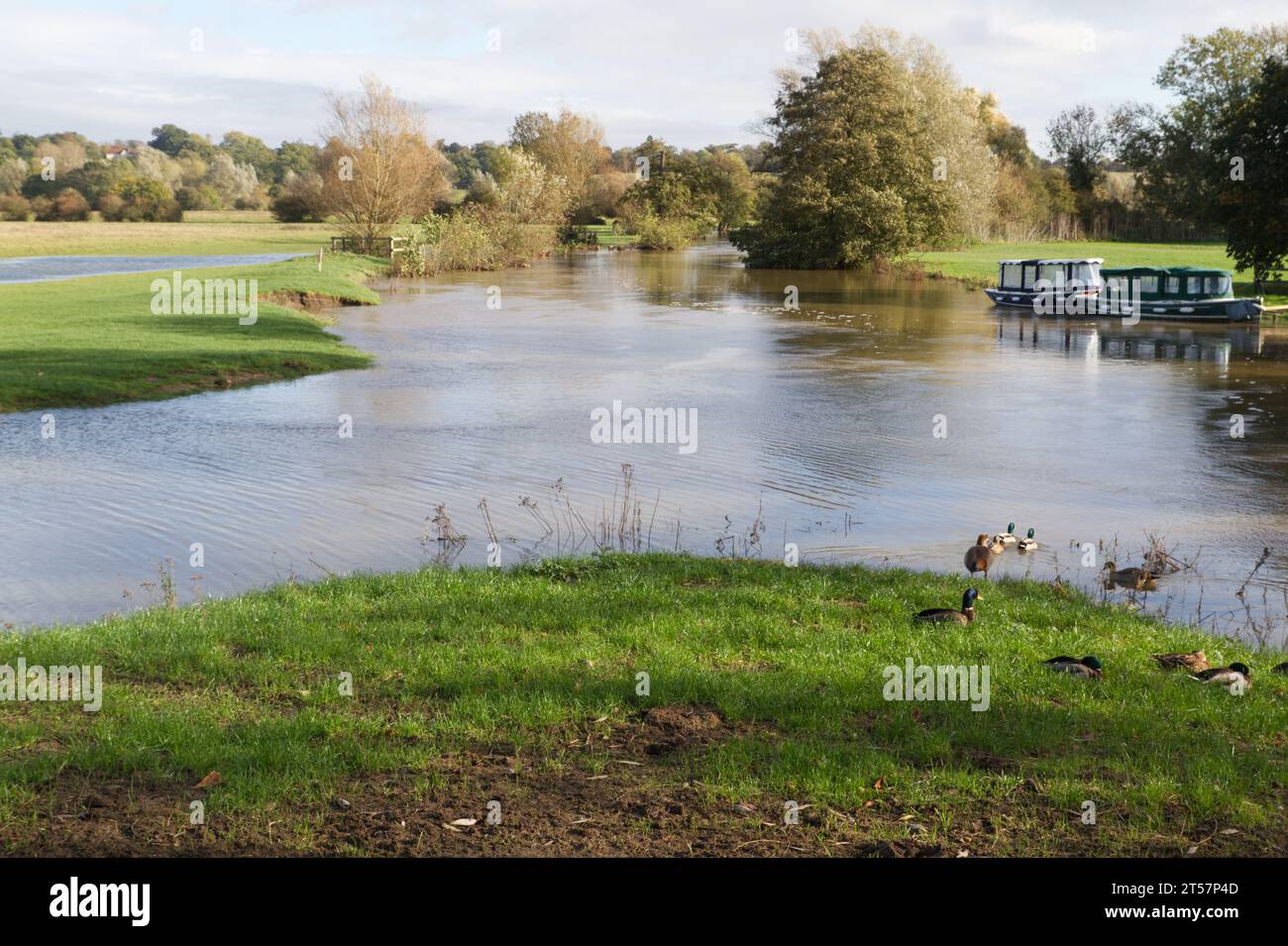 Dedham, UK. 3rd Nov 2023. After Storm Ciaran a flood warning has been issued this afternoon for the River Stour between Boxted and Dedham in Essex. Dedham Vale is designated as an area of outstanding natural beauty. Credit:Eastern Views/Alamy Live News Stock Photo