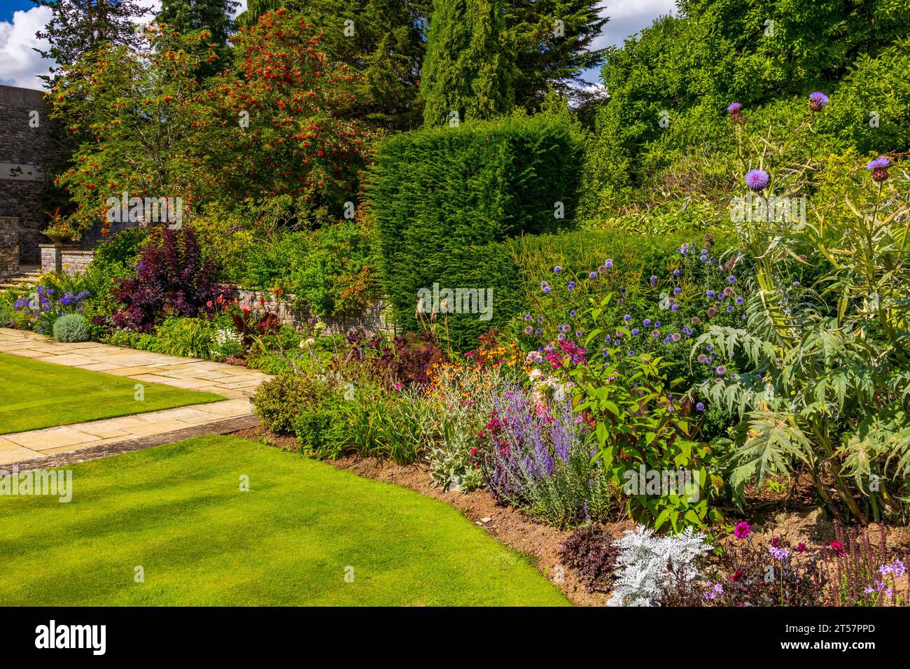 The colourful borders and topiary hedges in the parterre at Kilver ...