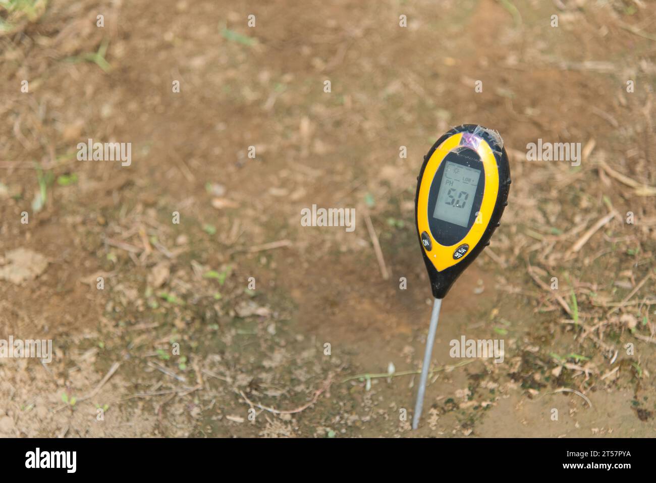 Use soil PH meter for check the PH value Stock Photo Alamy