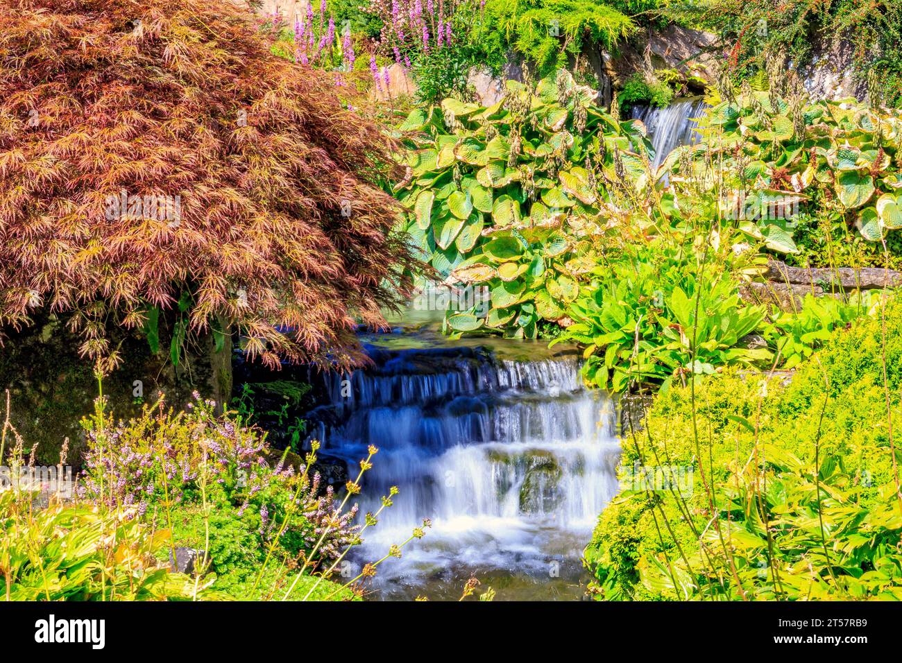 One of the landscaped waterfalls at Kilver Court Gardens, Shepton ...