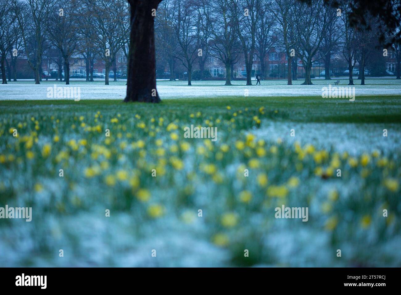 A park is seen snow-covered in Ilford, east London, in the morning. Stock Photo