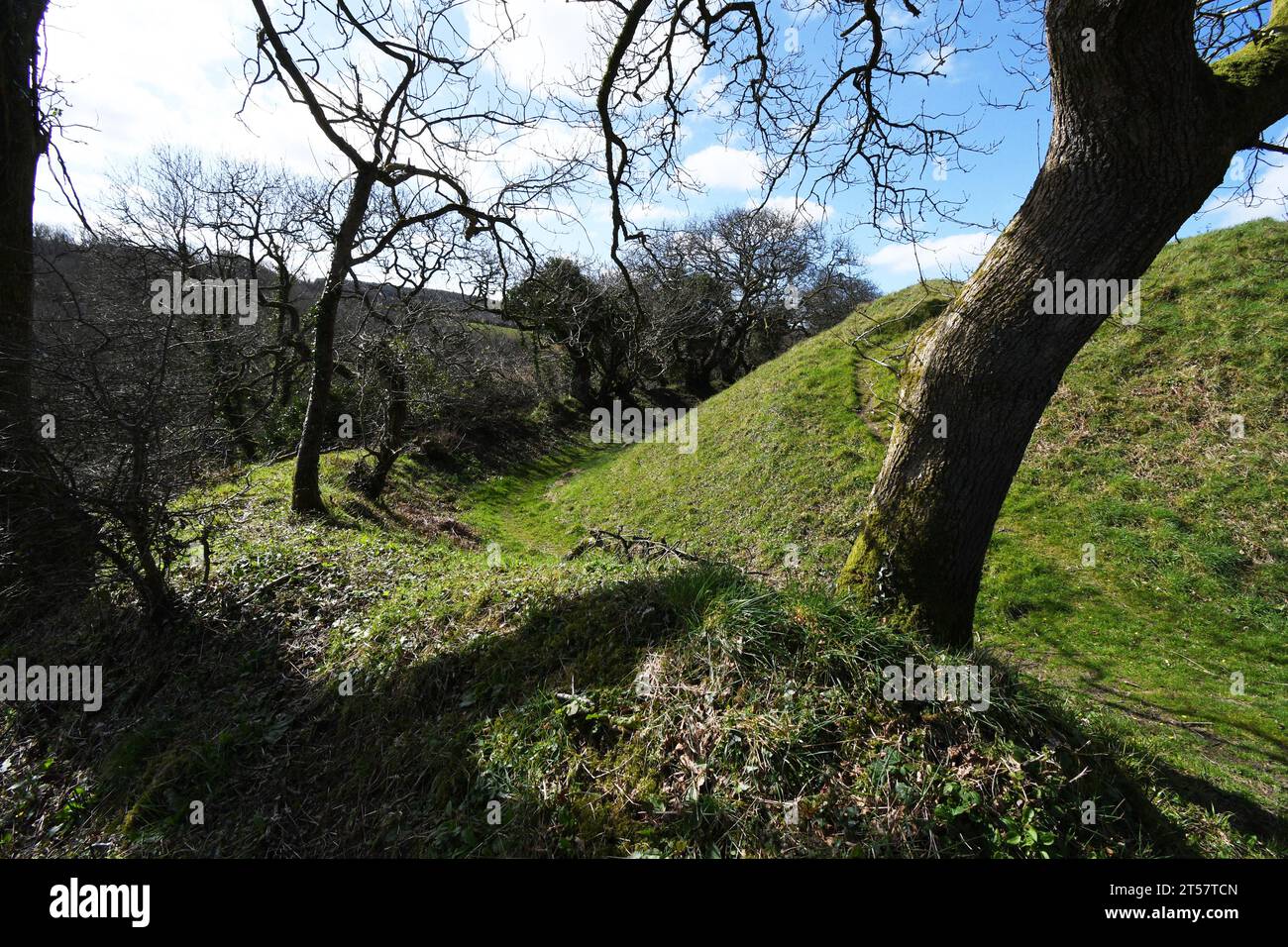 Partially wooded ditch around Kilkhampton castle also known as Penstowe Castle, medieval fort of Motte and Bailey construction built on a knoll protec Stock Photo