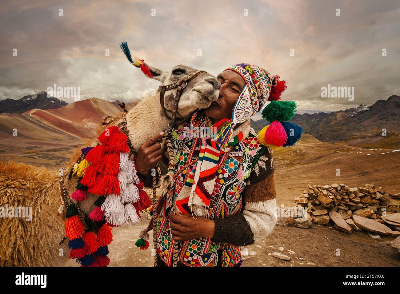 A man lovingly kisses his llama on the heights of the mountain of seven colors, Cusco Peru. Stock Photo