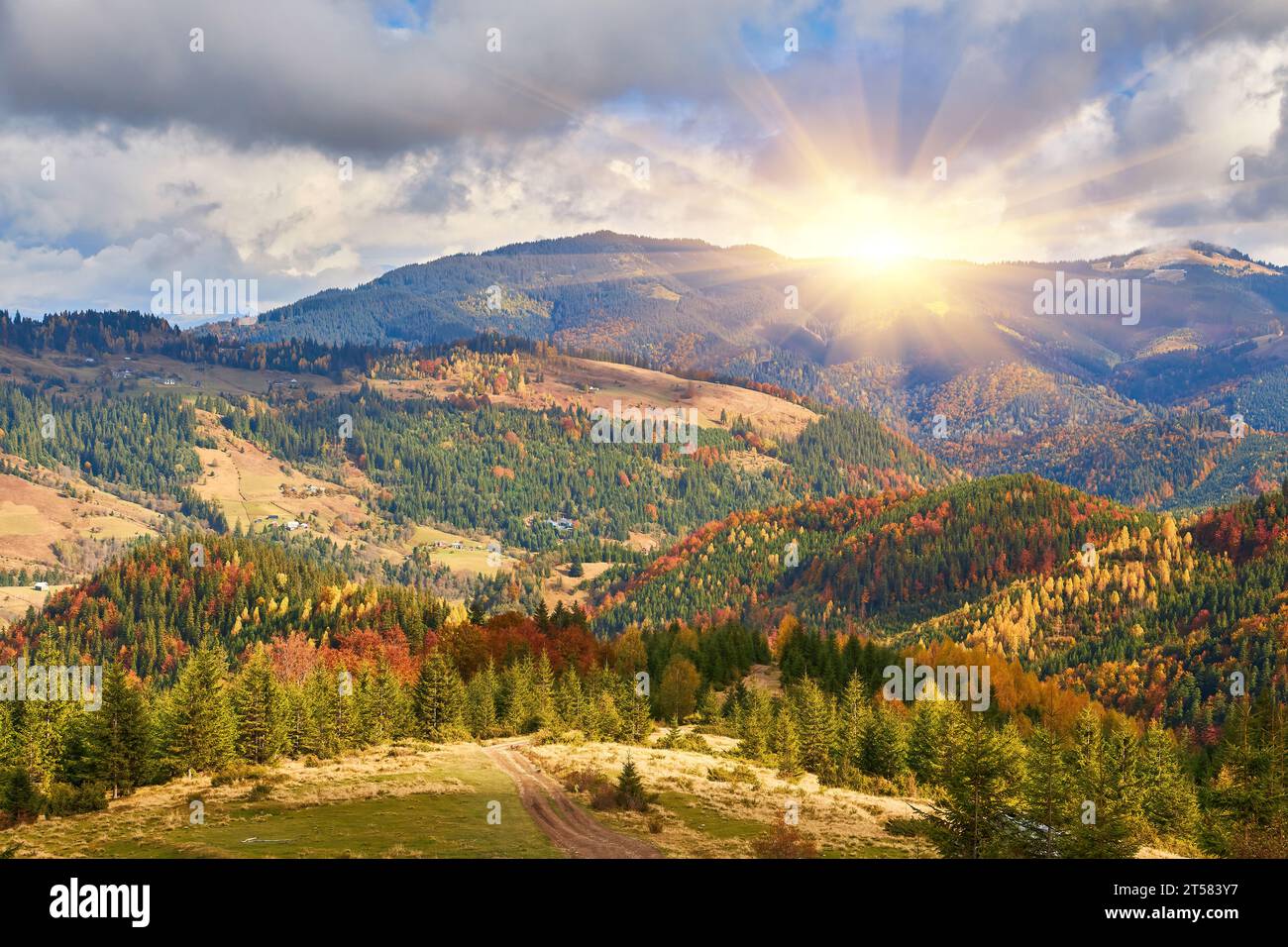 the mountain autumn landscape with colorful forest Stock Photo - Alamy