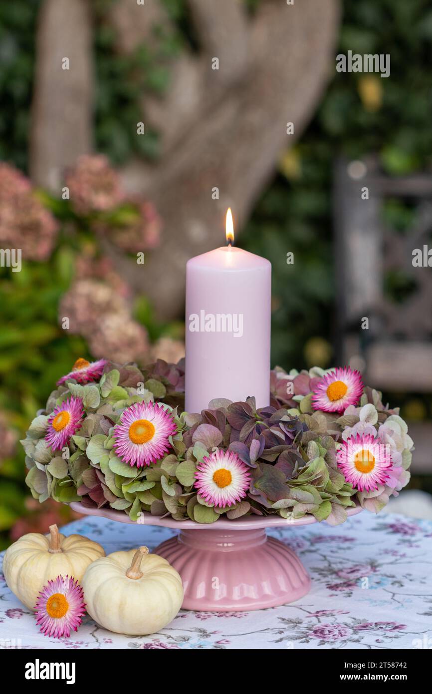 arrangement with candle and wreath of hydrangea flowers and pink strawflowers Stock Photo