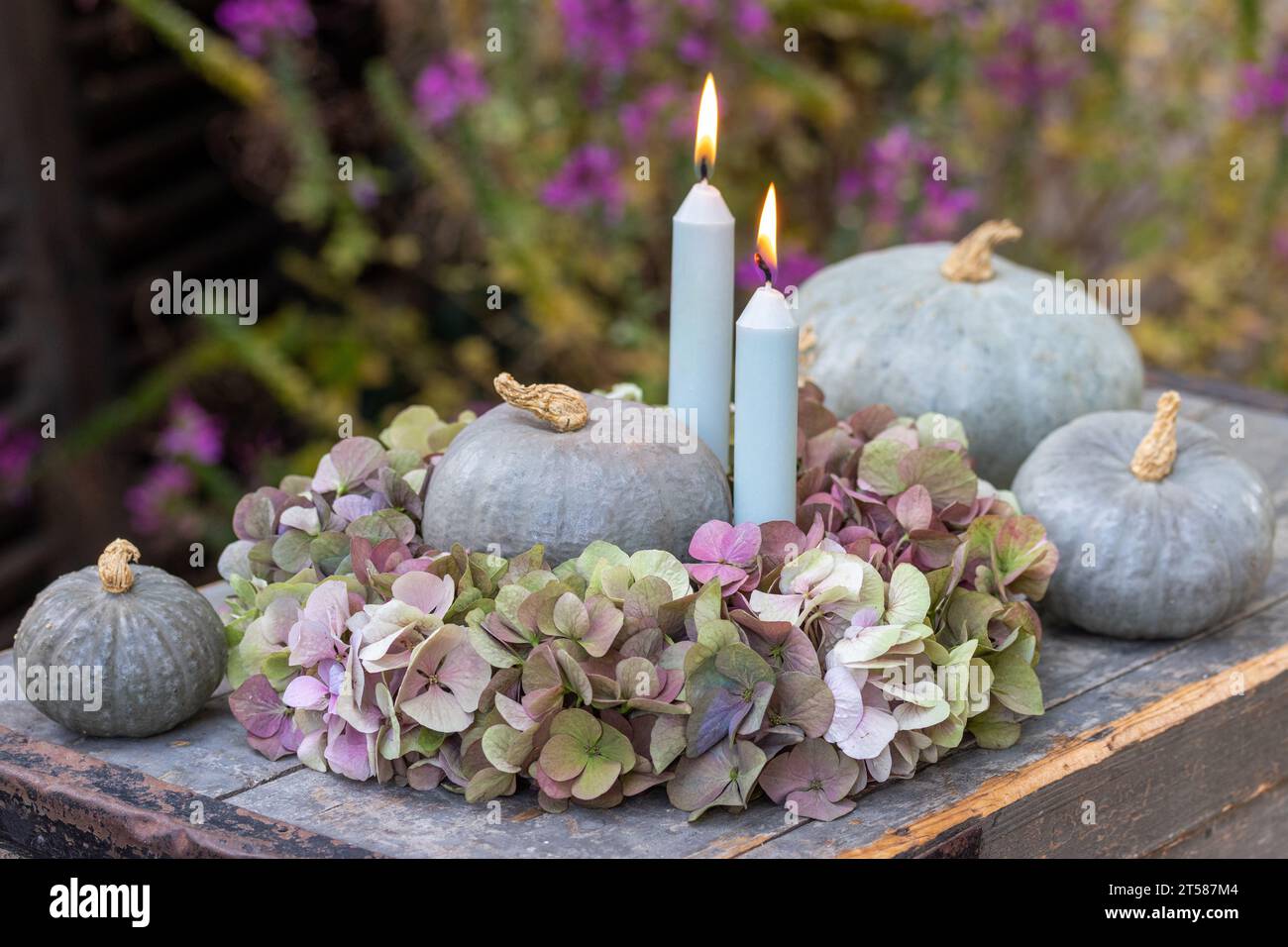 autumn arrangement with candles, wreath of hydrangea flowers and pumpkins Stock Photo