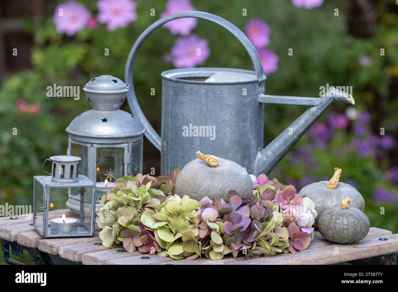 autumn arrangement with wreath of hydrangea flowers, pumpkins and vintage lanterns Stock Photo