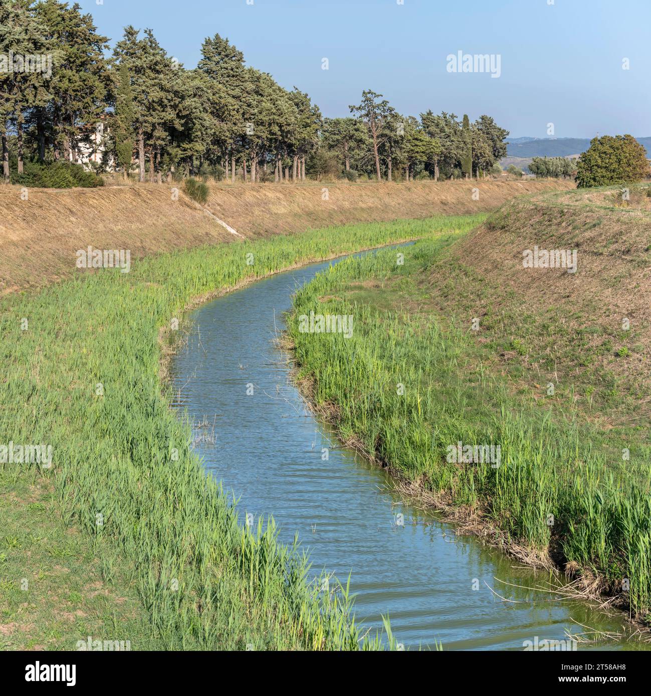 landscape with bending canal in Maremma countryside, shot in bright  early fall light east of Alberese, Tuscany, Italy Stock Photo