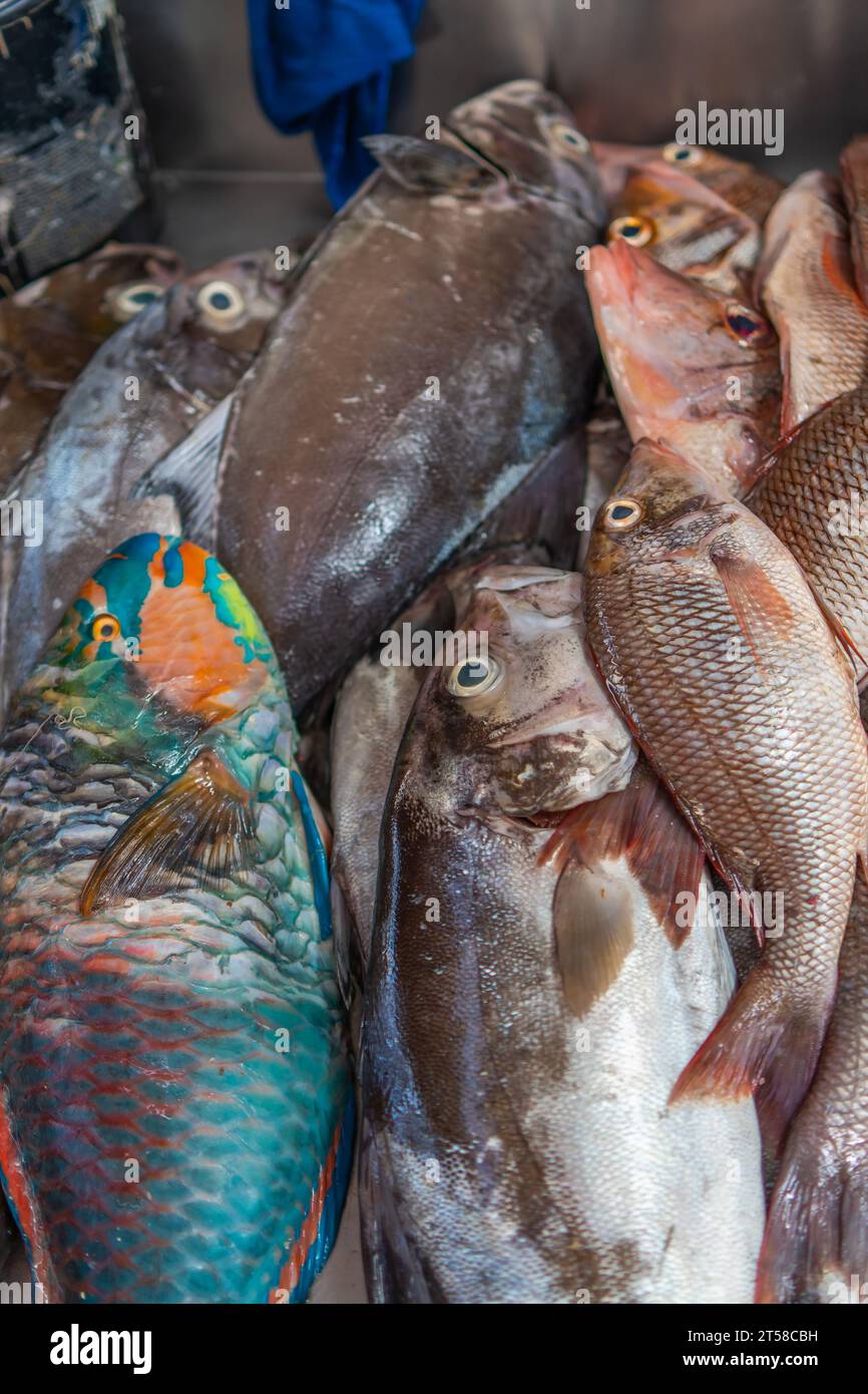 Fish market mindelo sao vicente hi-res stock photography and
