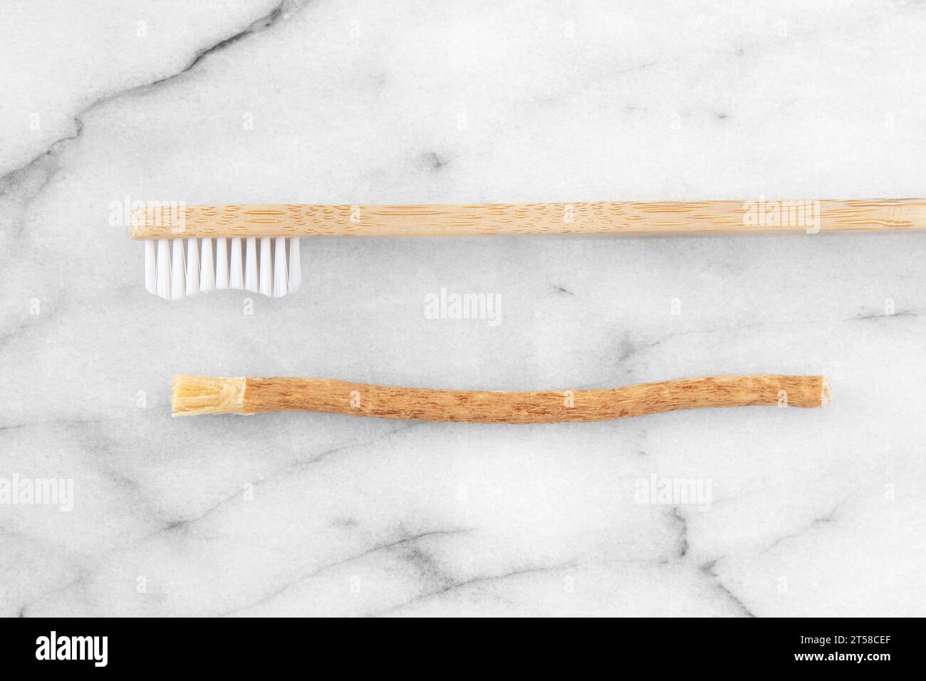 Siwak or miswak stick, tree root for ecological tooth brushing Stock Photo