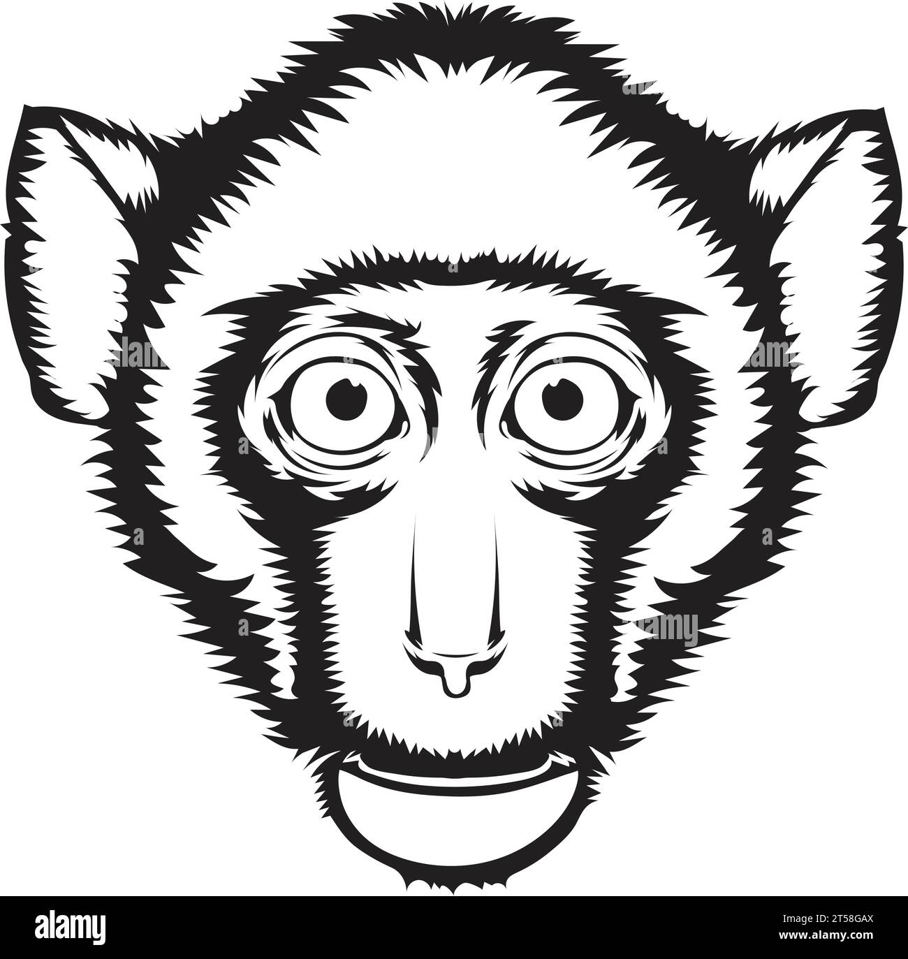 Rhesus monkey Royalty Free Vector Image Stock Vector Image & Art - Alamy