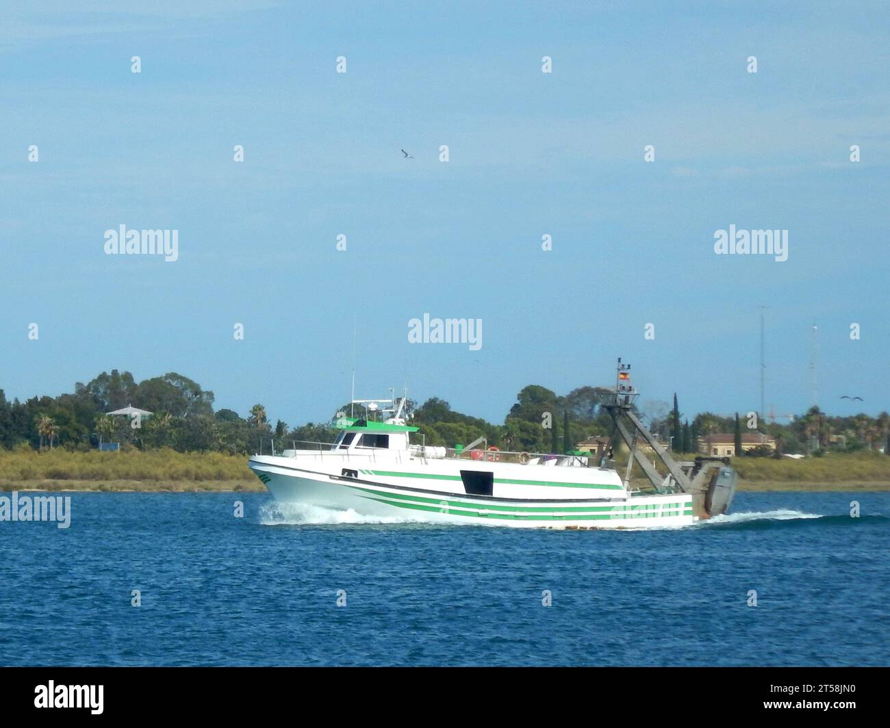 White yacht with green stripes sailing through the sea on a summer day ...