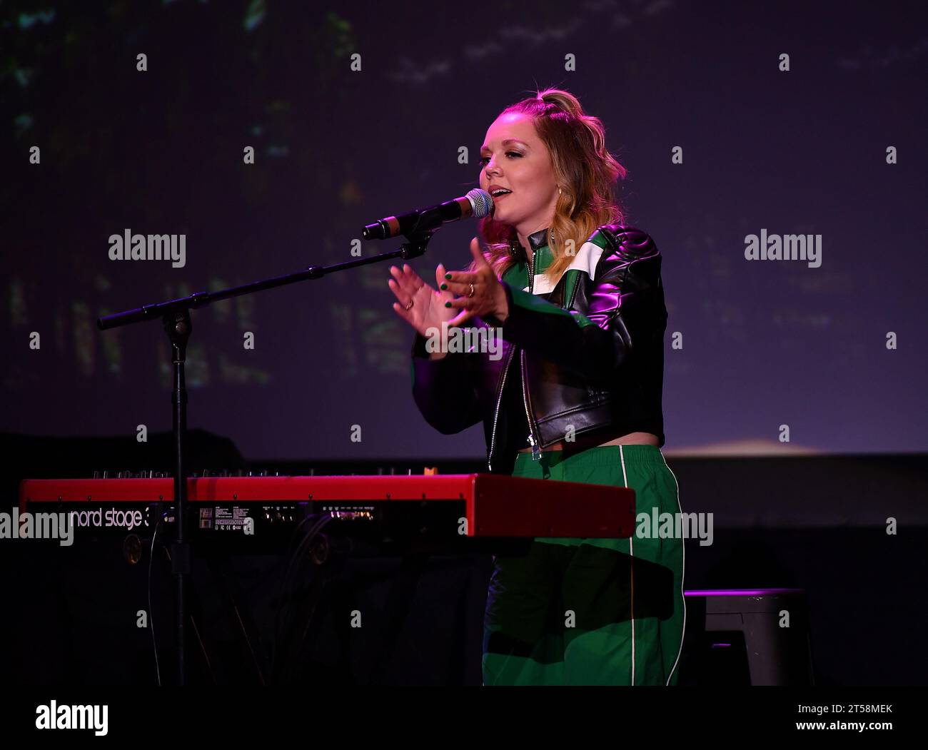 Napa, USA. 02nd Nov, 2023. Sarah Reeves performs during Day 2 of Live