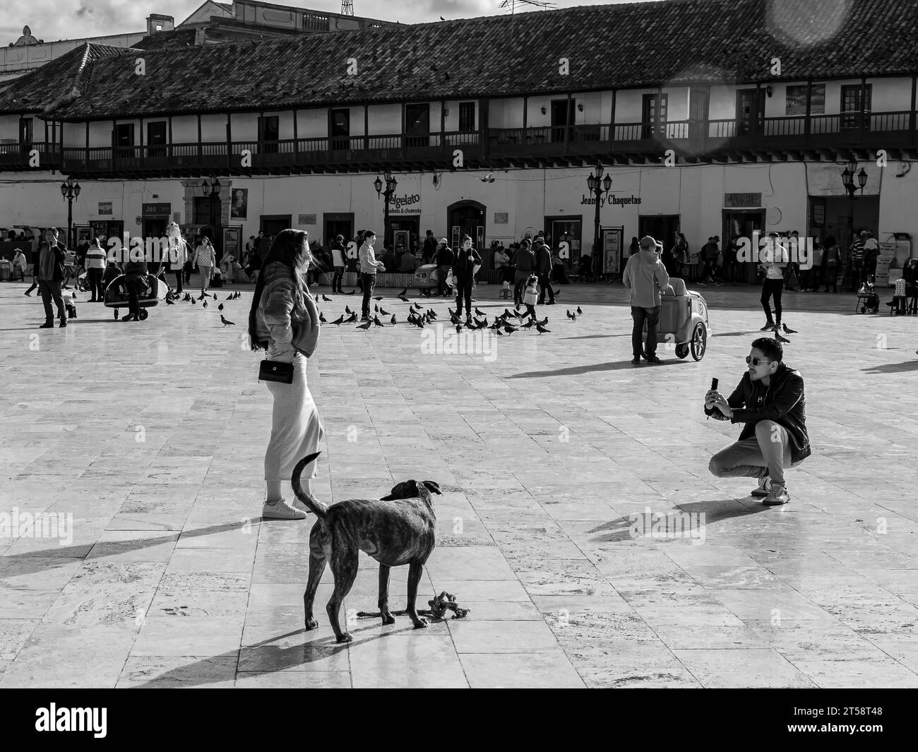 couple' selfie with dog. Tunja, Boyacá, Colombia, South America Stock Photo