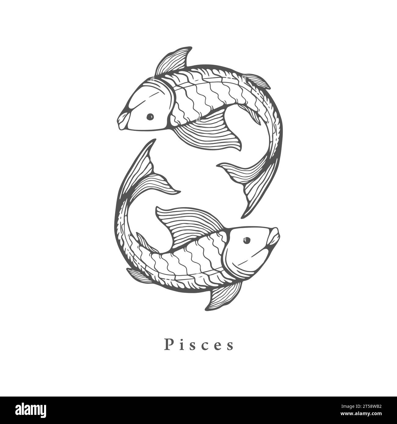 Pisces astrology Black and White Stock Photos & Images Alamy