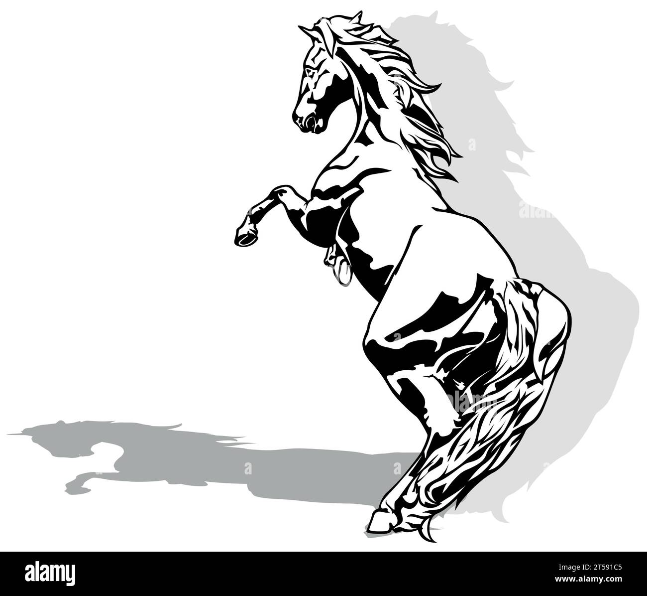 Drawing of Rising Horse on a Hind Legs Stock Vector