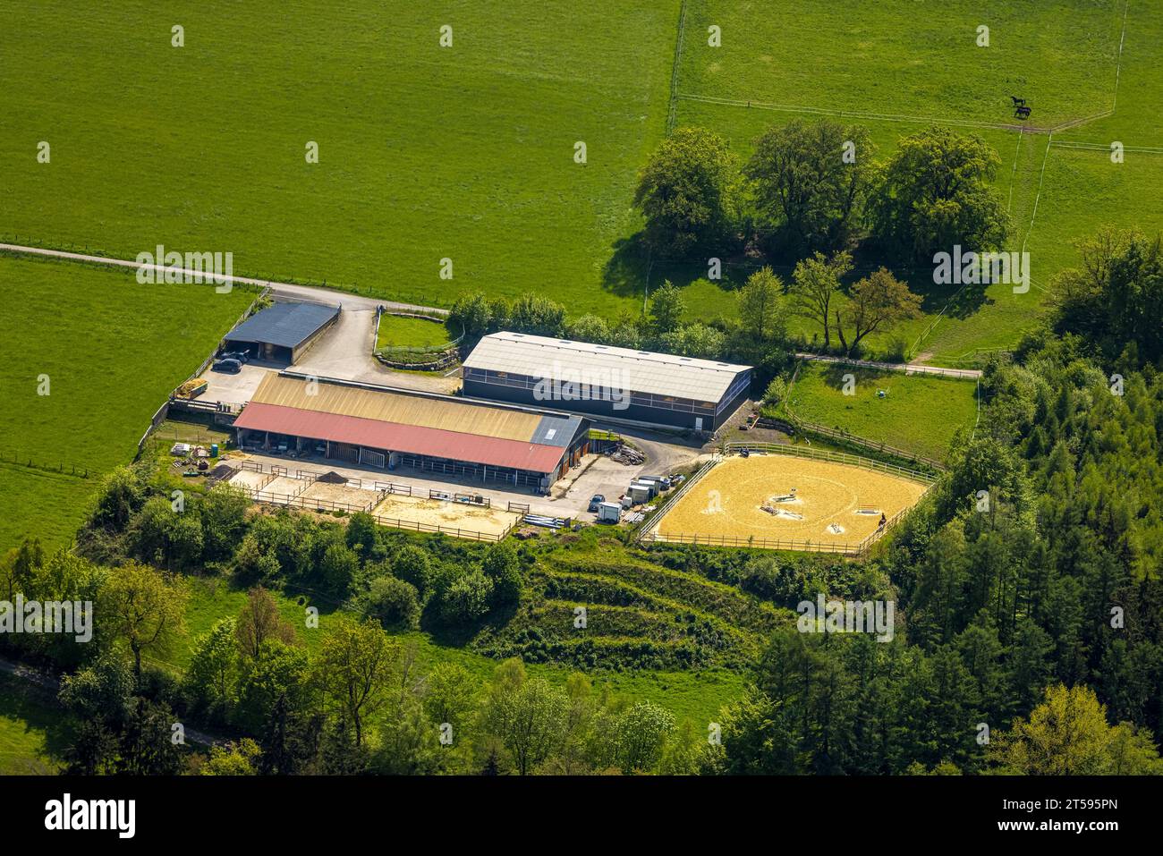 arbeitsagentur sundern