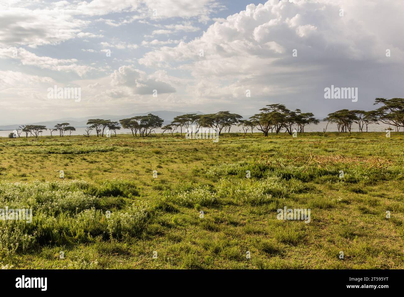 Crescent Island Game Sanctuary on Naivasha lake, Kenya Stock Photo