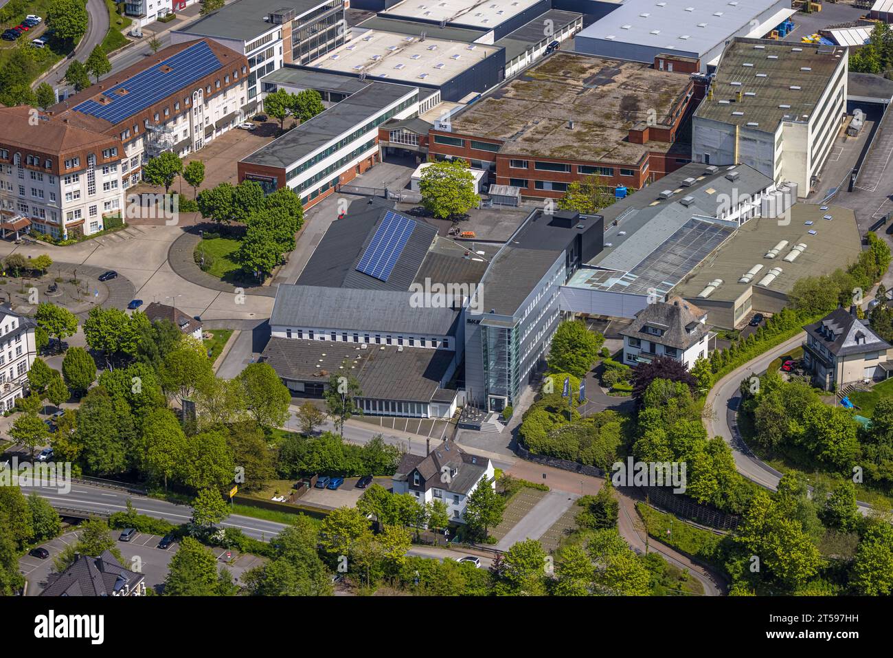 Aut View Sks germany plant hi-res stock photography and images - Alamy