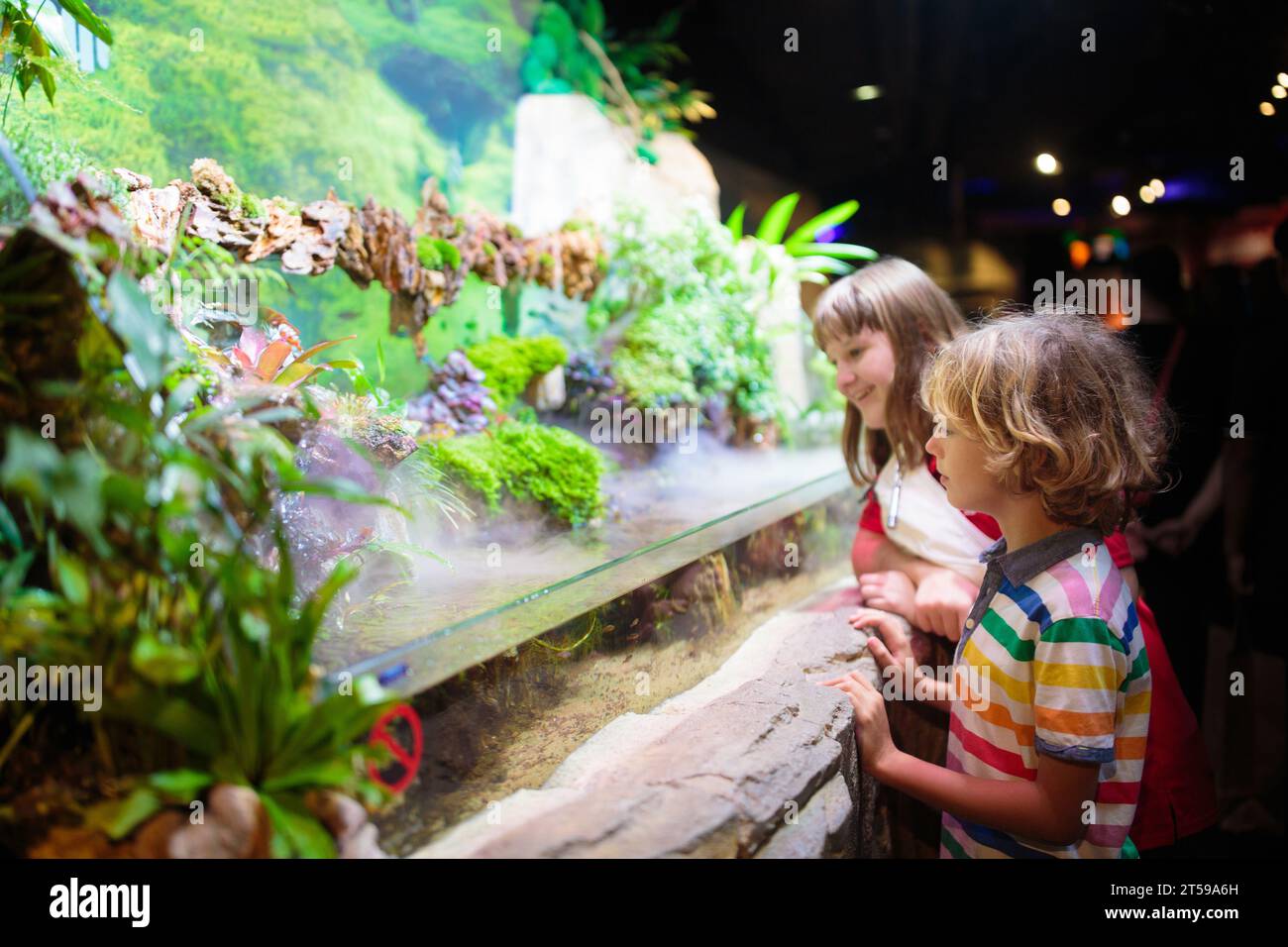 Family in aquarium. Kids watch tropical fish, marine life. Child