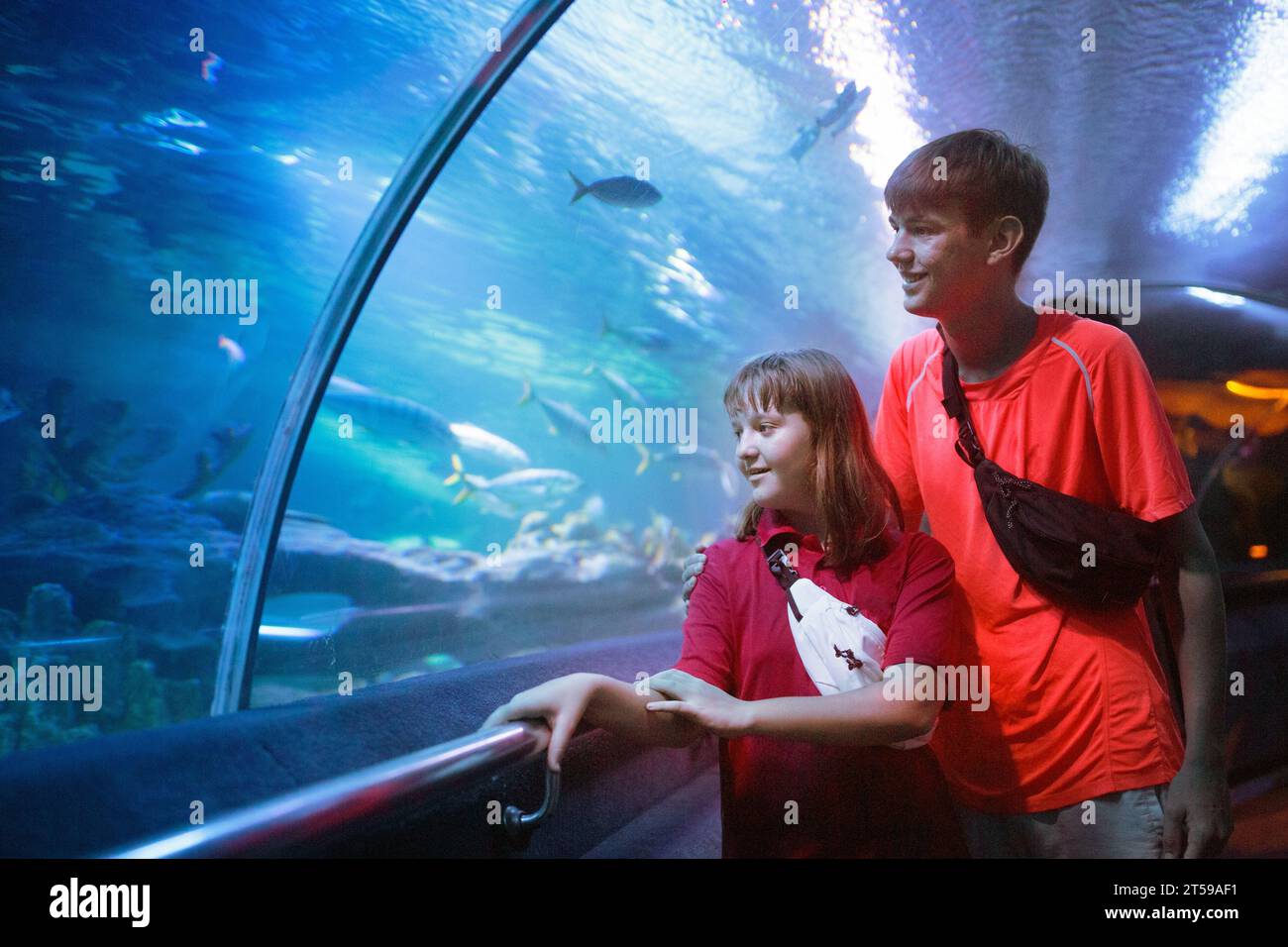 Family in aquarium. Kids watch tropical fish, marine life. Child ...